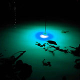Underwater Mini electronic fishing light