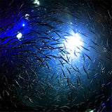 Underwater Mini electronic fishing light